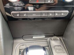 
										2019 RENAULT TALISMAN pilnas									