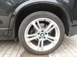 
										2013 BMW X3 pilnas									