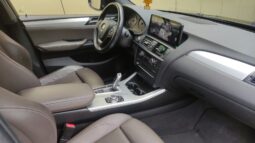 
										2013 BMW X3 pilnas									