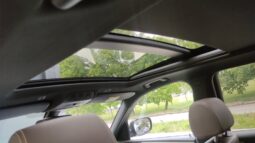 
										2013 BMW X3 pilnas									
