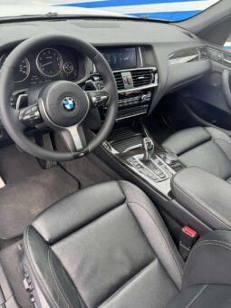 
										2017 BMW X3 pilnas									