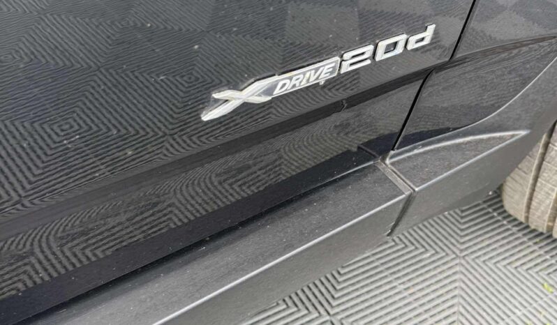 
								2010 BMW X3 pilnas									