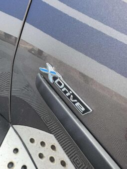 
										2011 BMW X5 pilnas									