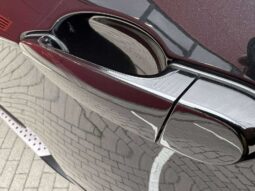 
										2009 BMW X5 pilnas									
