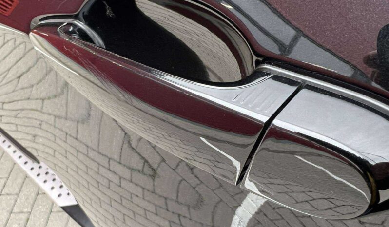 
								2009 BMW X5 pilnas									