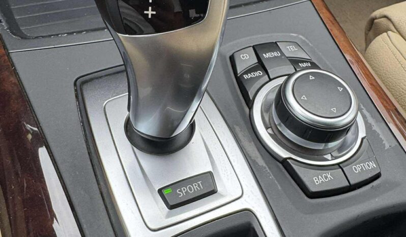 
								2011 BMW X5 pilnas									