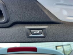 
										2014 BMW X5 pilnas									