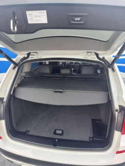 
										2013 BMW X3 pilnas									