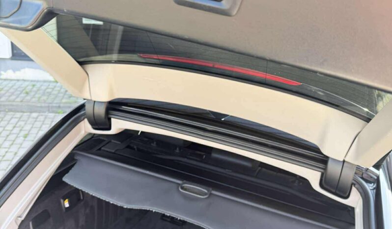 
								2013 BMW 520 pilnas									