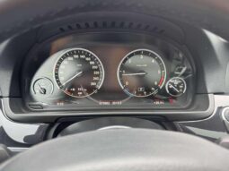 
										2014 BMW 520 pilnas									