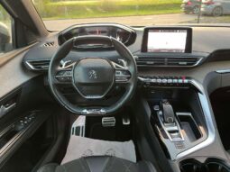 
										Peugeot 5008 pilnas									