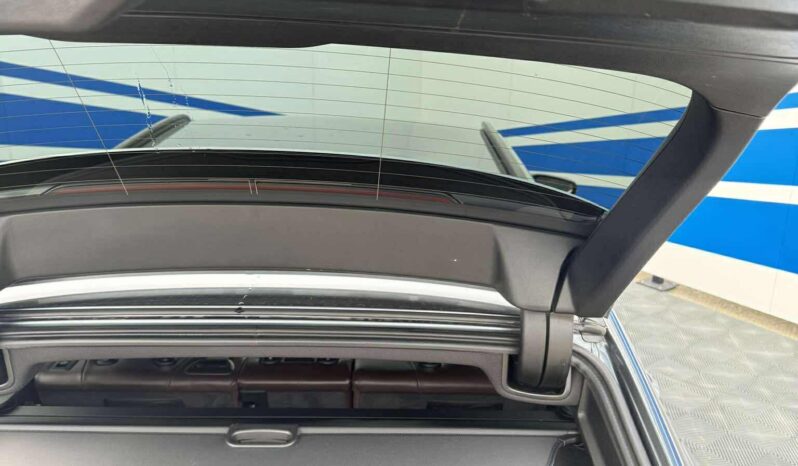 
								2017 BMW 520 pilnas									