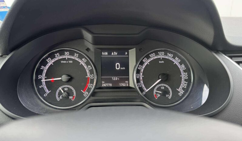 
								Skoda Octavia pilnas									