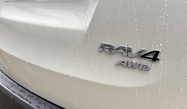 
								2013 Toyota Rav-4 pilnas									