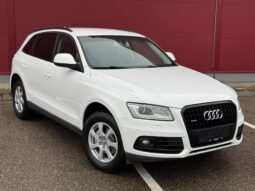 
										2013 AUDI Q5 pilnas									