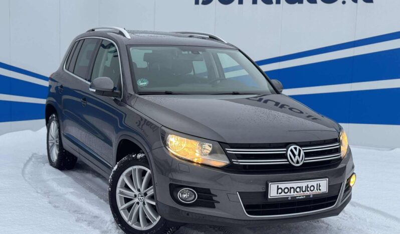 
								2013 VOLKSWAGEN TIGUAN pilnas									