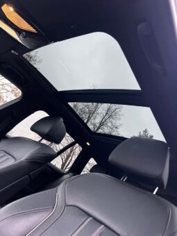 
										2018 BMW 520 pilnas									