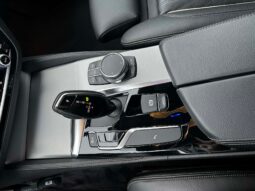 
										2018 BMW 520 pilnas									
