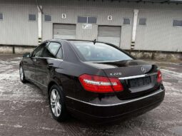 
										2010 Mercedes-Benz E220 pilnas									
