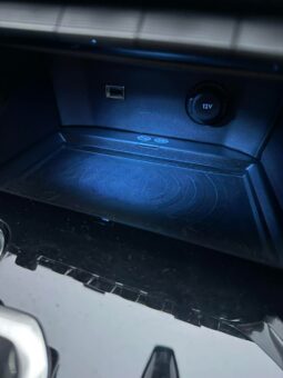 
										2018 Peugeot 3008 pilnas									
