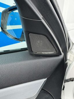 
										2013 BMW 530 pilnas									
