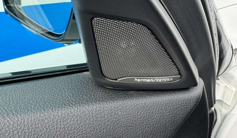 
								2013 BMW 530 pilnas									