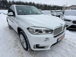 
										2014 BMW X5 pilnas									