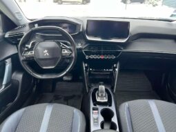 
										2020 PEUGEOT 2008 pilnas									