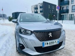 
										2020 PEUGEOT 2008 pilnas									