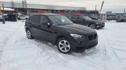 
										2014 BMW X1 pilnas									