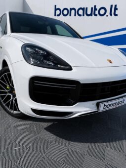 
										2019 PORSCHE CAYENNE pilnas									