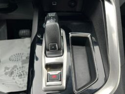
										Peugeot 3008 pilnas									
