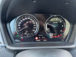 
										2018 BMW X1 pilnas									