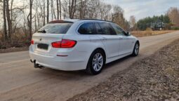 
										2011 BMW 520 pilnas									