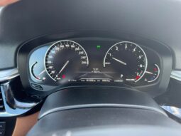 
										2019 BMW 520 pilnas									
