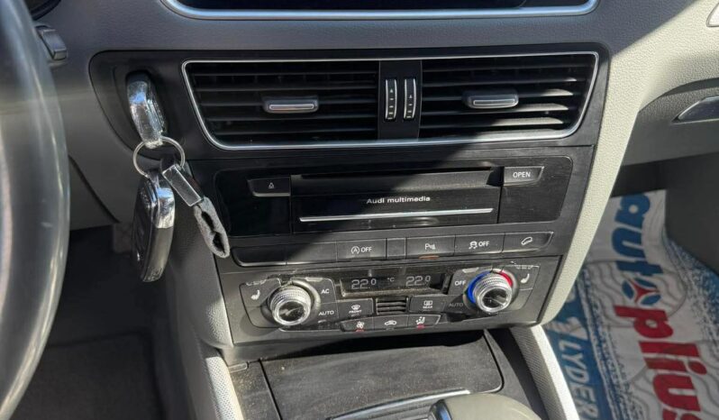 
								Audi Q5 pilnas									