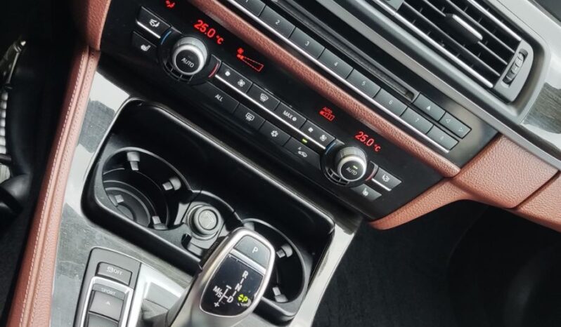 
								2012 BMW 530 XDRIVE pilnas									