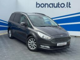 
										2016 FORD GALAXY pilnas									