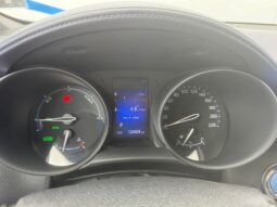 
										2017 TOYOTA C-HR pilnas									
