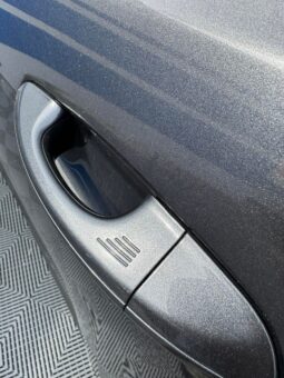 
										2016 FORD GALAXY pilnas									