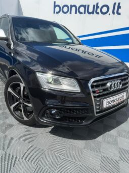 
										2013 AUDI SQ5 pilnas									